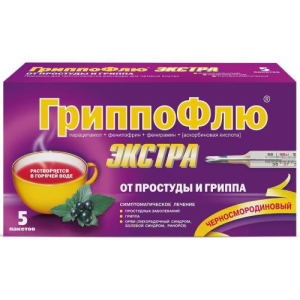 Гриппофлю экстра от простуды и гриппа порошок для приготовления раствора для приема внутрь 13г №5 черн смородина