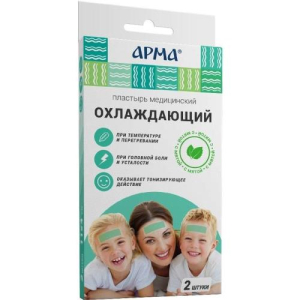 Арма пластырь №2 мед. охлаждающий с мятой 11х4см