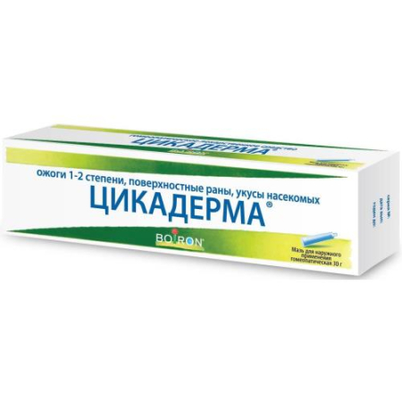 Цикадерма мазь для наружного применения гомеопатическая 30г